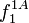 f_1^{1A}