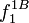 f_1^{1B}