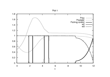 File:MmlotkaRelaxed 12000 30 1.png