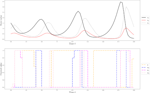 States, control, and sampling functions for a local optimum.