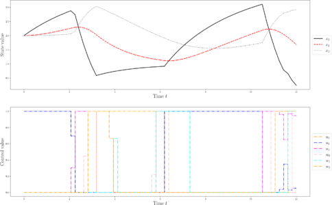 States, control, and sampling functions for a local optimum.