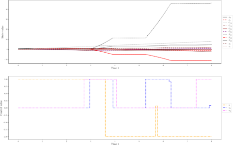 States, control, and sampling functions for a local optimum.